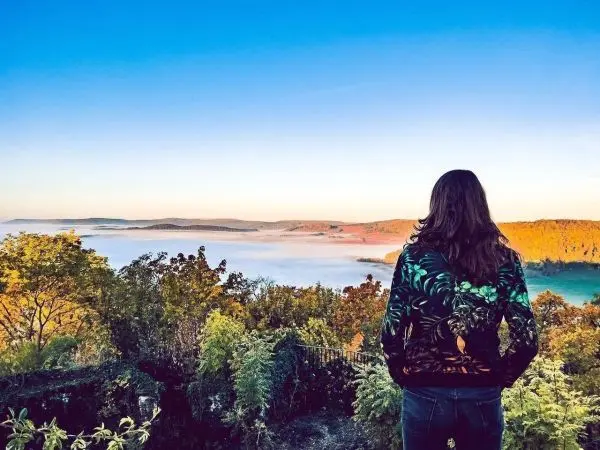Person mit langem Haar betrachtet die Landschaft mit Nebel und Bäumen