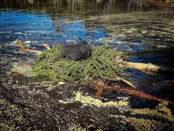 Schwimmende Holzstruktur mit Nadelzweigen und schwarzem Gegenstand auf Wasseroberfläche