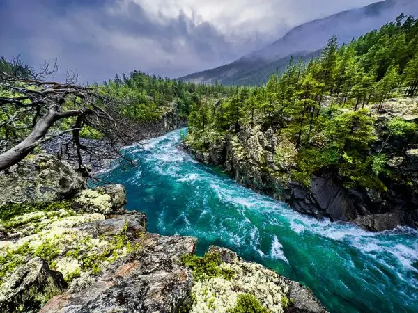 Bergfluss fließt durch eine felsige Schlucht, umgeben von Bäumen und Moos