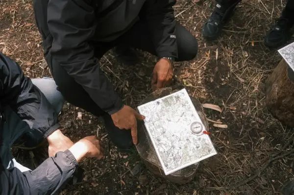 Finger zeigt auf eine Karte, die auf einem Baumstumpf liegt