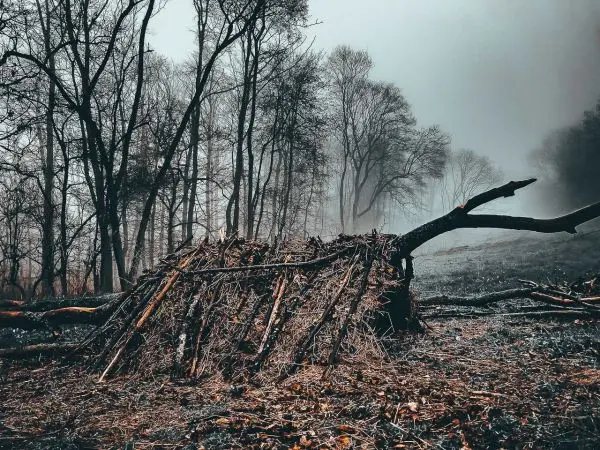 Laubhütte aus Ästen und Zweigen in bewaldeter Umgebung