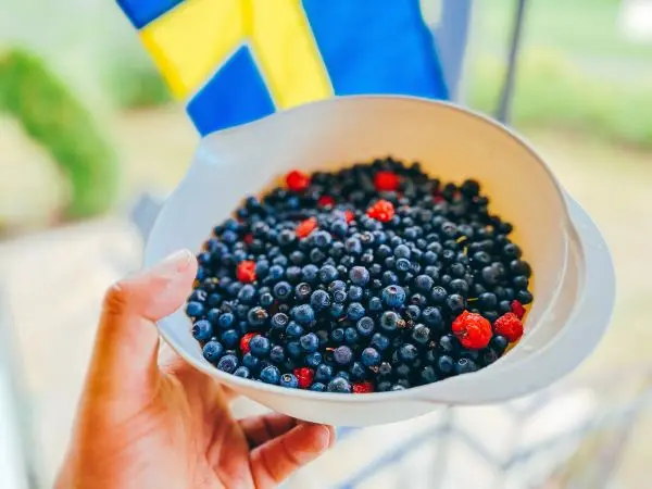 Person hält eine Schüssel mit Heidelbeeren und Himbeeren