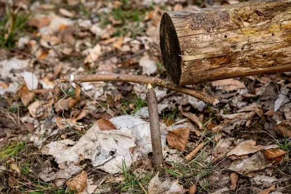 Selbstgebaute Falle aus Ästen und Draht im Laub