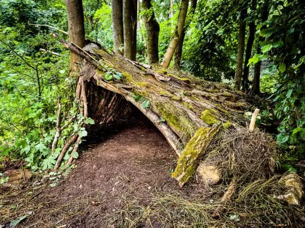 Selbstgebaute Unterkunft aus Ästen und Moos im Wald