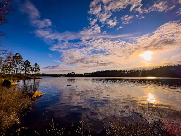 Sonnenuntergang über einem ruhigen See mit Bäumen am Ufer