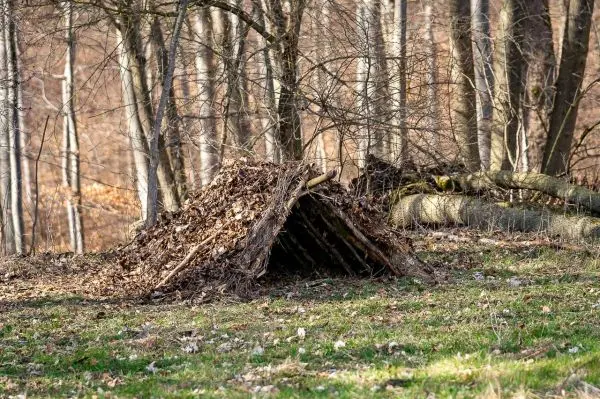 Tarp-Notunterkunft aus Ästen und Laub im Wald