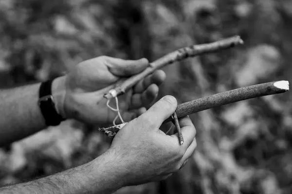 Zwei Äste werden in den Händen gehalten und auf ihre Verwendung geprüft