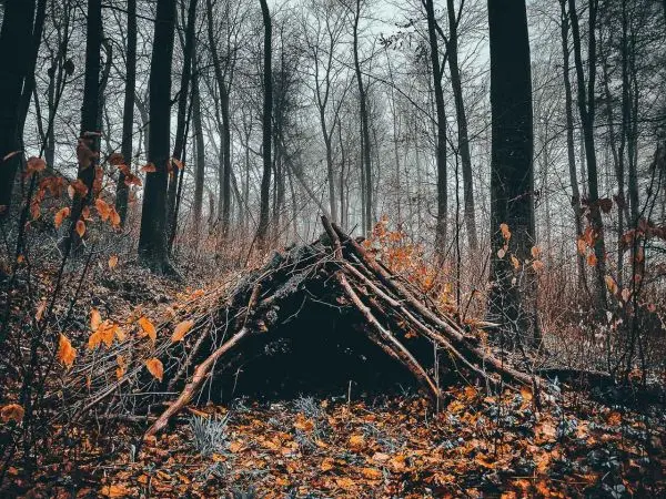 Zweige bilden eine Tarp-Notunterkunft im Wald zwischen Bäumen