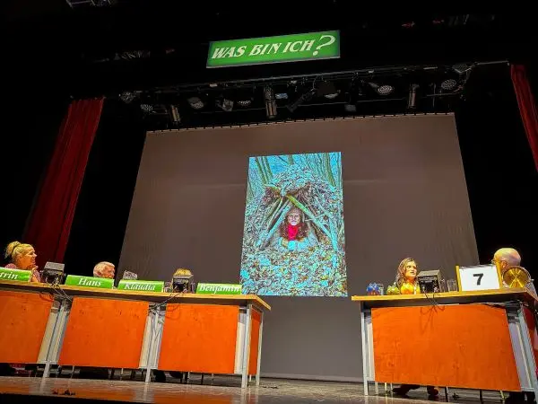 Bühne mit Quiz-Panel und Bild eines improvisierten Unterschlupfs aus Ästen und Laub