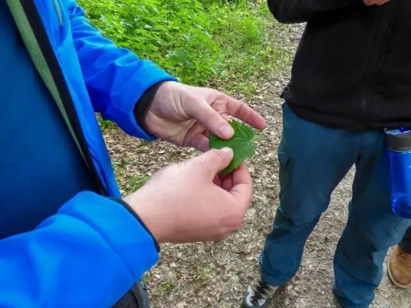 Hände halten ein Blatt, während eine andere Person daneben steht