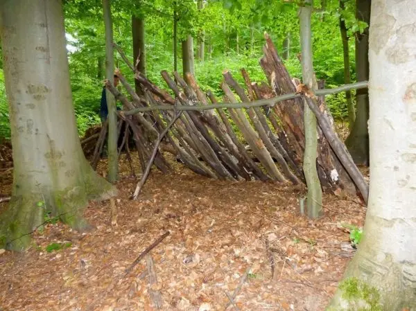 Holzkonstruktion aus Ästen als Notunterkunft im Wald