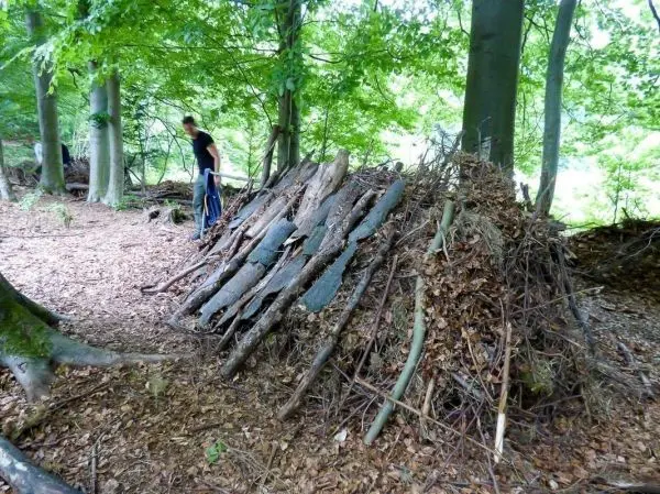 Holzkonstruktion aus Ästen und Laub als Notunterkunft im Wald