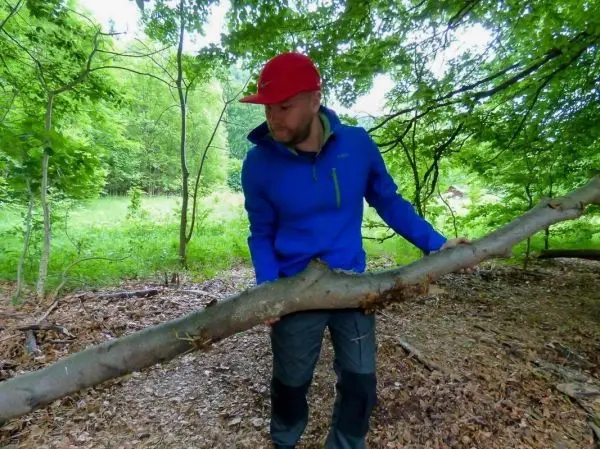 Holzstück wird im Wald getragen