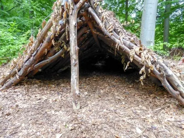Laubhütte aus Ästen und Blättern in einem Waldgebiet