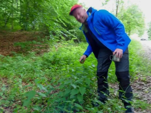 Mann in blauer Jacke pflückt Pflanzen in einem bewaldeten Gebiet