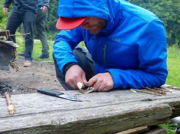 Messer schält Rinde von einem Stock an einem Holzstamm