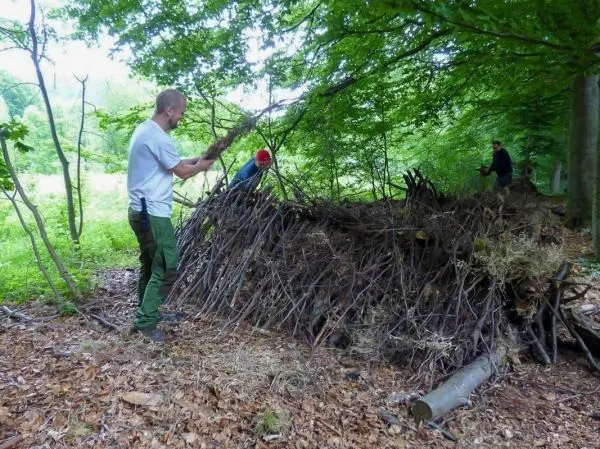Person baut eine Unterkunft aus Ästen im Wald beim Survival Training
