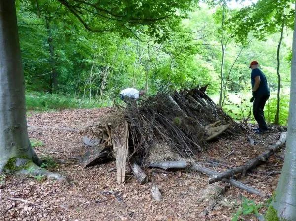 Zwei Personen bauen eine Laubhütte aus Ästen im Wald