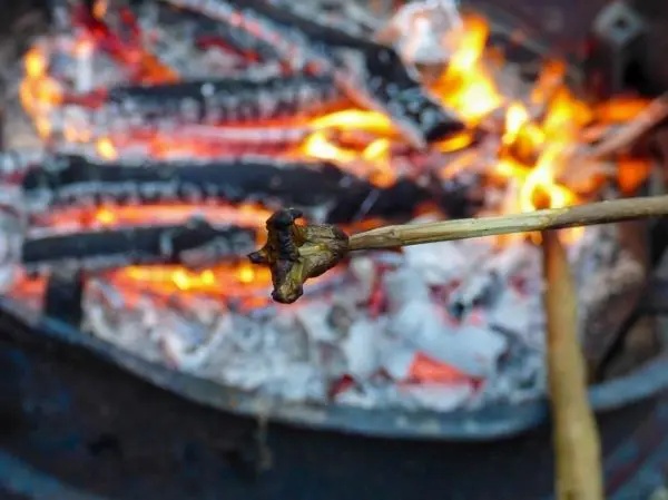 Zweige rösten über einem offenen Feuer mit glühenden Kohlen