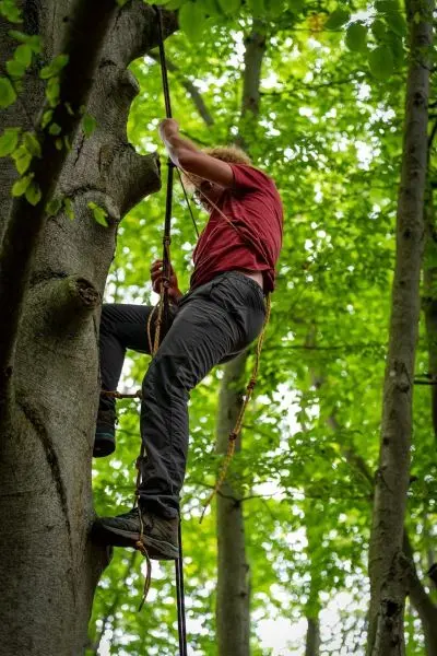 Kletterer nutzt Seiltechnik, um einen Baumstamm zu erklimmen