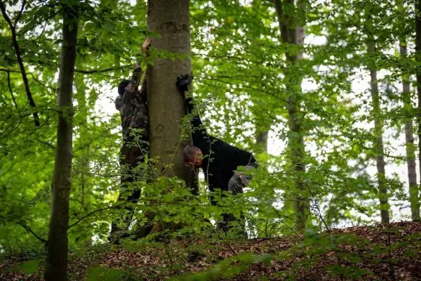 Person umarmt Baum, während andere Person ihn stützt im Wald