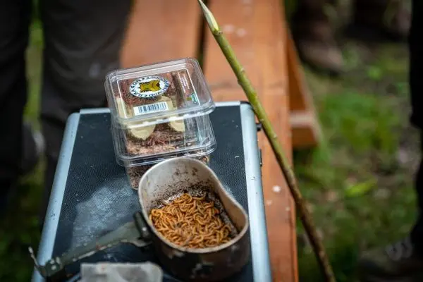Schüssel mit getrockneten Insekten auf einem Tisch neben einer Verpackung