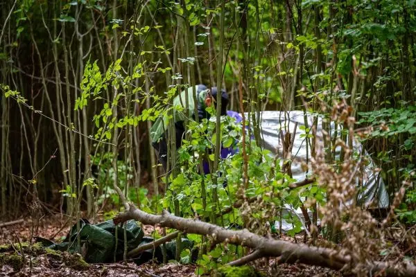 Tarp-Notunterkunft wird im Wald zwischen Bäumen aufgebaut