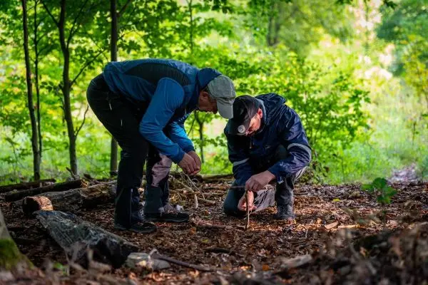 Zwei Personen untersuchen den Waldboden und nutzen einen Stock zur Markierung