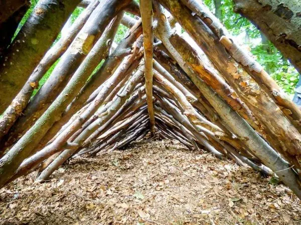 Blick in eine selbstgebaute Hütte aus Ästen und Zweigen