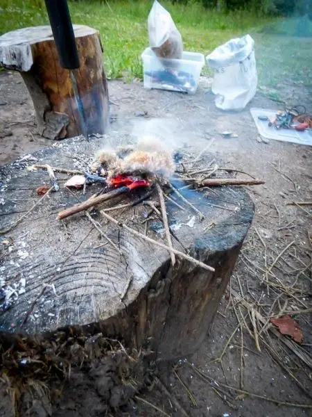 Kleine Feuerstelle auf einem Baumstumpf mit Rauchentwicklung beim Überlebenstraining