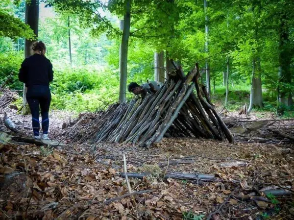 Zwei Personen bauen eine Laubhütte aus Ästen im Wald