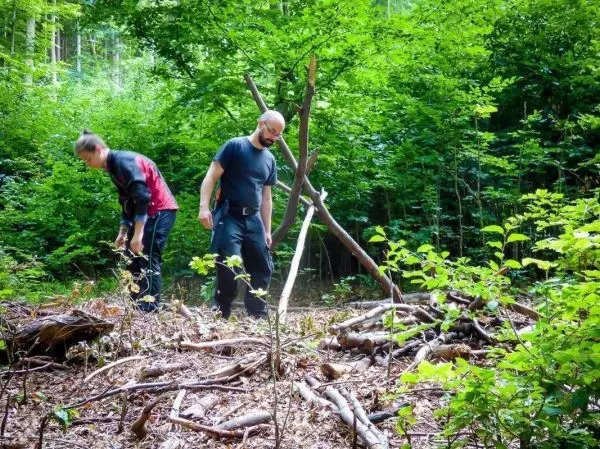 Zwei Personen sammeln Äste im Wald beim Überlebenstraining