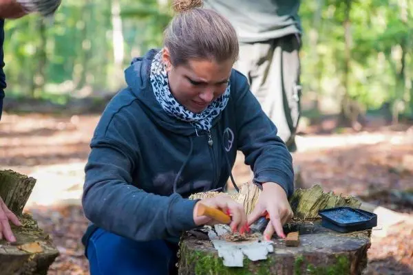 Ein Messer schnitzt Holzstücke auf einem Baumstumpf im Wald