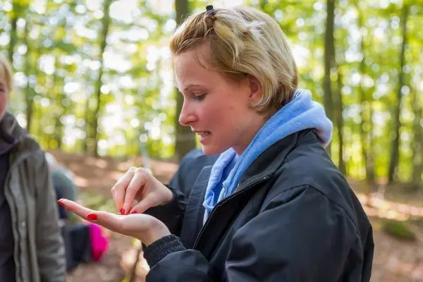 Eine Person hält etwas in der Hand und betrachtet es aufmerksam im Wald