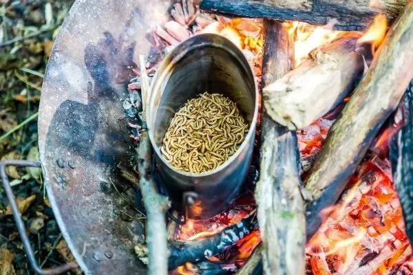 Eisenbehälter mit Insekten auf glühenden Holzscheiten beim Kochen