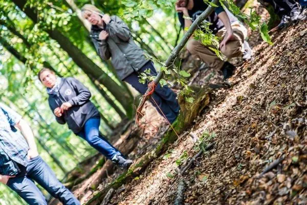 Gruppe von Personen beobachtet eine selbstgebaute Seilbrücke im Wald