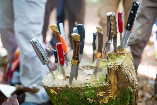 Mehrere Messer stecken in einem Baumstumpf im Wald