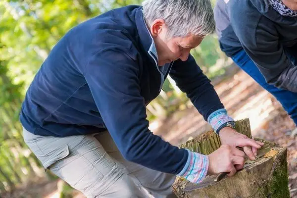 Messer bearbeitet Holzstamm zur Herstellung von Zunder