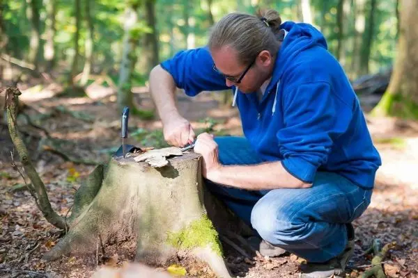 Messer bearbeitet Holzstück auf Baumstumpf im Wald