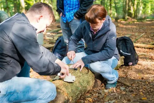 Messer bearbeitet Holzstück auf einem Baumstamm im Wald