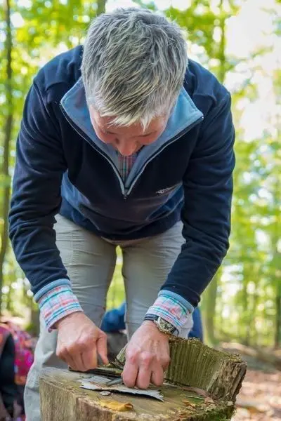 Messer schneidet Rinde von einem Baumstamm im Wald