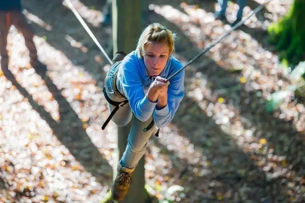Person balanciert auf einer Seilbrücke zwischen Bäumen im Wald