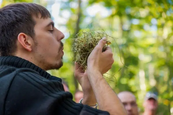 Person bläst in ein Bündel aus Gras und Zweigen