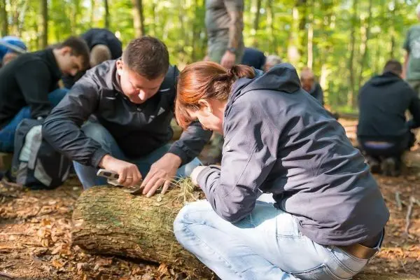 Person schnitzt mit einem Messer an einem Baumstamm beim Überlebenstraining