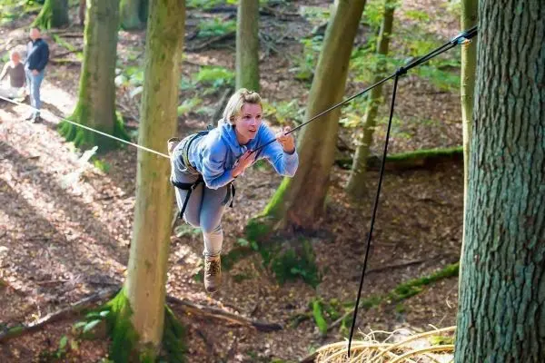 Person schwingt an Seilbrücke zwischen Bäumen im Wald