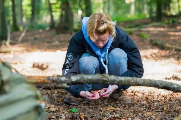 Person untersucht den Boden im Wald