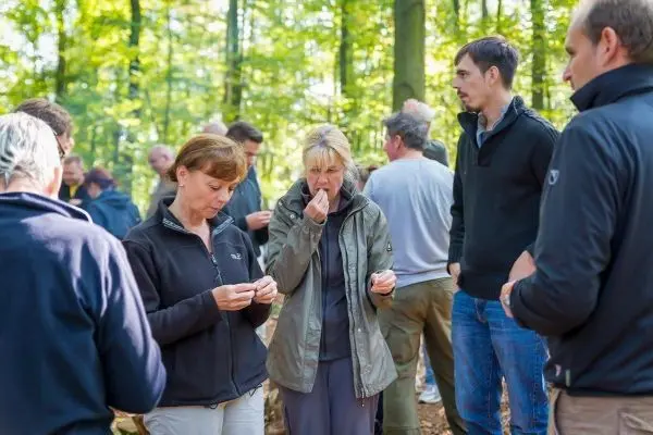 Personen stehen im Wald und betrachten kleine Objekte beim Überlebenstraining