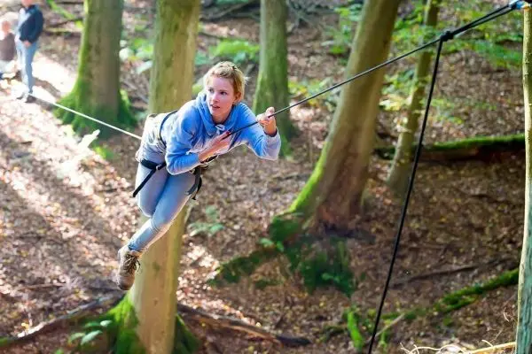 Seilbrücke verbindet zwei Bäume, während eine Person daran schwingt