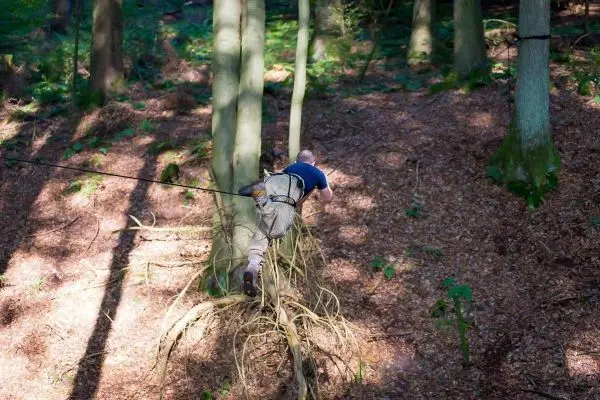 Seilbrücke wird genutzt, um zwischen Bäumen zu balancieren