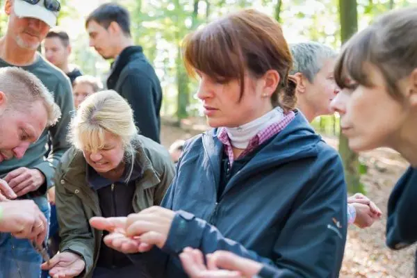 Teilnehmer betrachten aufmerksam kleine Objekte in den Händen im Wald